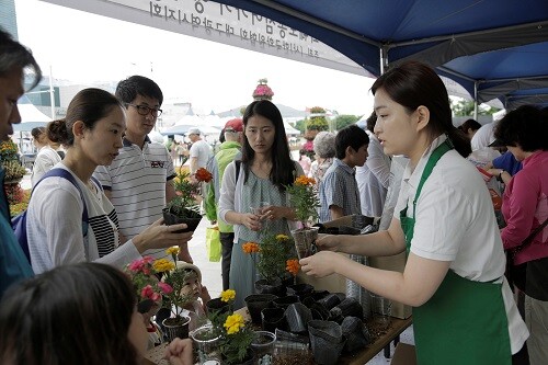 대구시와 (사)한국화원협회 대구지회가 지역 화원 20곳을 '반려식물 치료센터'로 운영한다 (사진=대구시 제공)