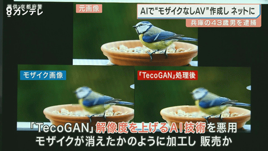 테코간 기술은 방범 카메라 영상을 분석하는 등 사회에 도움이 되는 한편, 악용될 소지도 다분히 있다. 사진=간사이TV뉴스 캡처