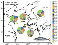 “우리나라 서식 고등어는 모두 같은 핏줄”