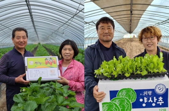 산청군농협 이춘형·최영남 부부(왼쪽), 의령농협 남영석·정선녀 부부