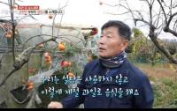 ‘생방송 오늘저녁’ 순천만부부 삼시세끼, 설탕 대신 단감으로 칠게 요리