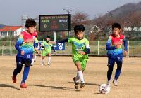 '2021 경주 화랑대기' 성료…전국 221개 학교, 선수 등 4400여명 참가