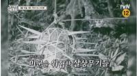 '벌거벗은 세계사' 미국의 오만을 꺾은 베트남 전쟁, 기상천외 게릴라 전술
