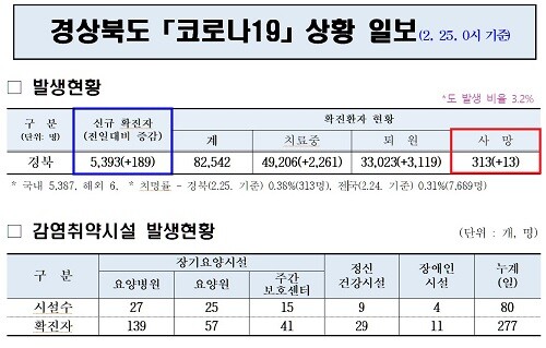 25일 0시 기준 경북에서 코로나19 관련으로 13명이 숨졌다. 자료는 경북도 코로나19 상황 일보 일부 캡처. (자료=경북도 제공)