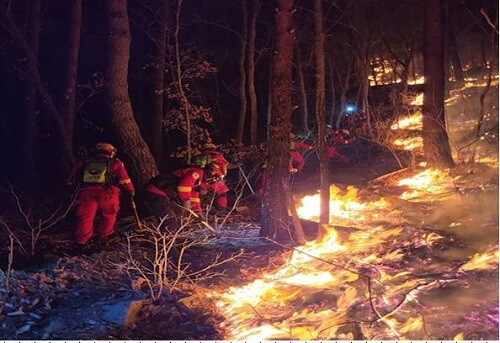 4일 전국에서 큰 산불이 발생한 가운데 대원들이 진화에 나서고 있다. (사진=산림청 제공)