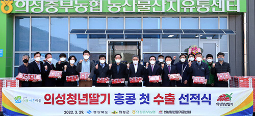 스마트팜 창업실습교육생 및 창업농이 생산한 청년딸기 수출 선적식이29일 의성 중부농협 농산물산지유통센터에서 열리고 있다. 사진=경북도 제공