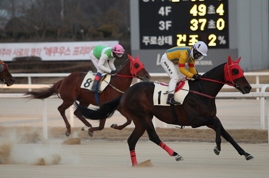 헤라블레이드는 9일 의미 있는 경주를 펼치며 처음 3위를 기록했다. 경주 모습으로 기사의 특정 내용과 관련 없음. 사진=한국마사회 제공