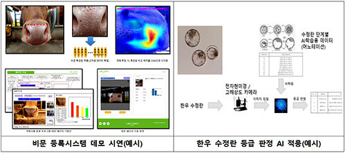 한우 인공지능 모델 개발 구상. 자료=경북도 제공