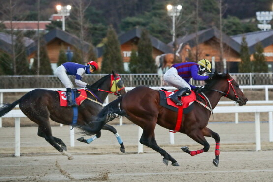 2021년 12월 12일 농림축산식품부장관배 당시 '히트예감'. 사진=한국마사회 부산경남본부 제공