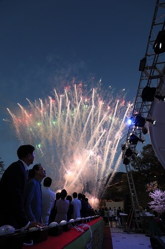 Highlight Fireworks Show! 명품 남구의 힘찬 비상의 불꽃이 하늘을 수놓고 있다. 사진=남경원 기자