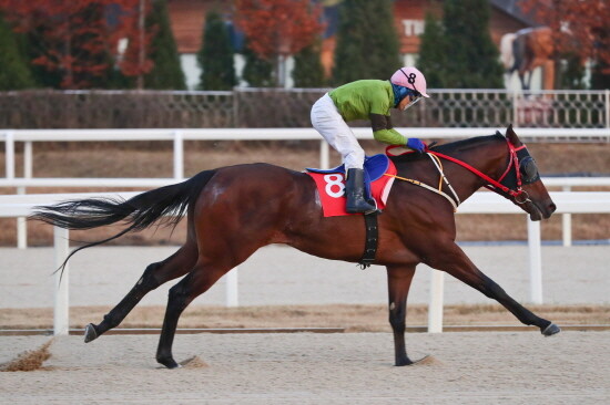 라온더파이터. 사진=부산경남경마공원 제공