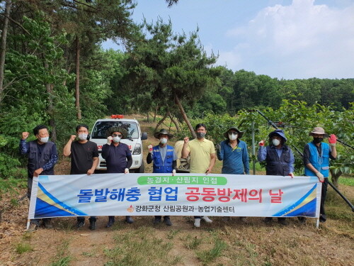 강화군은 최근 이상고온과 산림생육시기를 맞아 돌발해충 발생에 대비해 선제적인 방제에 나섰다. 사진=강화군 제공