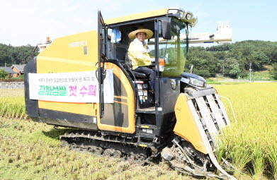 강화도의 넓은 들녘에서는 ‘강화섬쌀’ 수확이 한창이다. 사진=강화군 제공