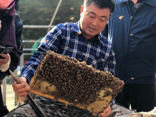 양봉산업 관련 이미지. 사진=김해시 제공