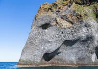 바닷물에 코 박은 아이슬란드 코끼리바위 눈길