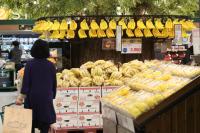 수입과일 가격도 올라…바나나 도매가 한 달 전보다 10% 상승