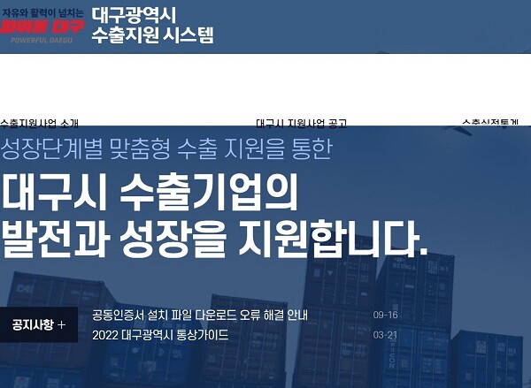 대구시와 대구테크노파크가 '지역주력 수출기업 Biz 플랫폼 지원사업' 참가기업을 모집한다. 지역 중소기업 50개사를 선정하며 총 지원규모는 16억5000만원이다. 사진은 대구시 수출지원시스템 메인화면.