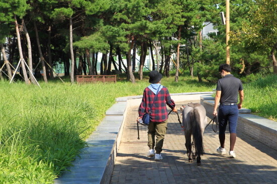 말과 함께 산책로를 거니는 장면. 사진=부산경남경마공원 제공