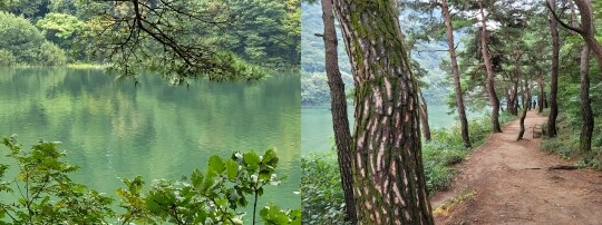 괴산 산막이옛길을 걷다 보면 문득 시공을 초월해 과거로 돌아간 듯한 느낌을 준다. 사진=이송이 기자