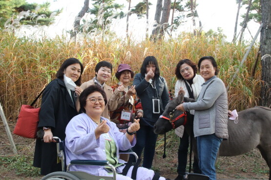 ‘홀스테라피’ 진행 장면. 사진=온종합병원 제공