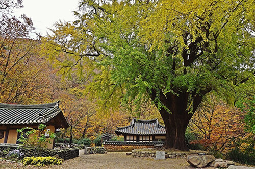운곡서원. 사진=경주시 제공