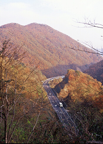추령재 단풍. 사진=경주시 제공