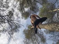 ‘바르셀로나의 타잔’의 나무타기 수업 화제