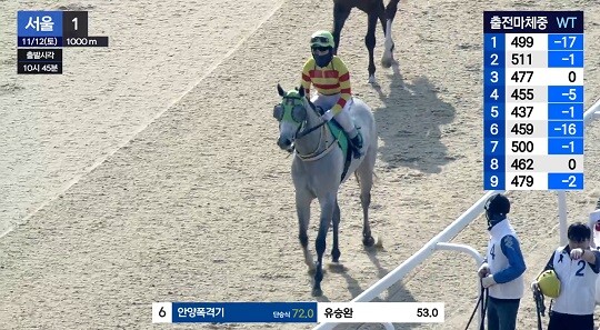 안양폭격기는 12일 경주에서 의외의 능력을 발휘하며 깜짝 3위를 기록해 다음 경주부터는 관심을 가져볼 만하다. 사진=한국마사회 경마방송 캡처