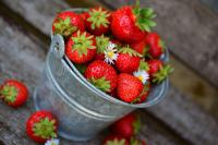 관절염엔 딸기 그럼 고혈압엔…무지개 식단에 이런 효능이? 