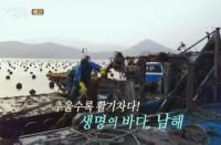 '한국인의 밥상' 통영 바다 굴, 대구, 아귀까지...겨울 진객 맞이한 남해