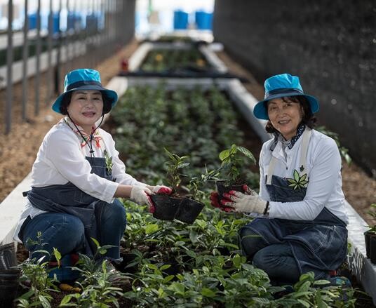 미세먼지저감식물 재배원 모습. 사진=경남도 제공