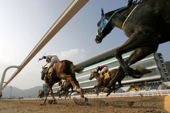 경마 시행 장면. 사진=한국마사회 부산경남본부 제공