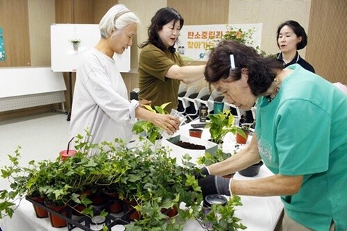 국립한국자생식물원 교육팀의 이주희 주임의 강의가 끝난 뒤 교육 참여자들이 넝쿨식물인 아이비와 함께 범부채, 히어리, 산수국 등 우리나라 자생식물을 플라스틱 용기에 심는 ‘나의 손바닥 정원’을 만들고 있다. 사진=김현술 기자.