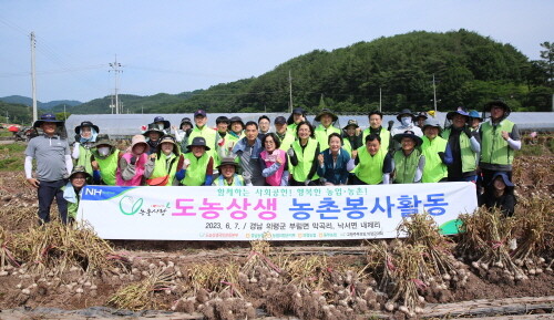 도동상생 농촌봉사활동 모습. 사진=경남농협 제공