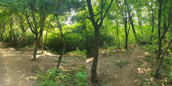 30대 여성을 폭행한 피의자 최 아무개 씨는 인적이 드문 곳까지 끌고 가 성폭행을 했다. 사진=노영현 기자