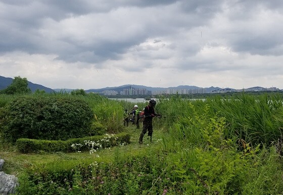 남양주시가 추석을 앞두고 18일부터 녹지관리 작업을 시행하고 있다. 사진=남양주시 제공