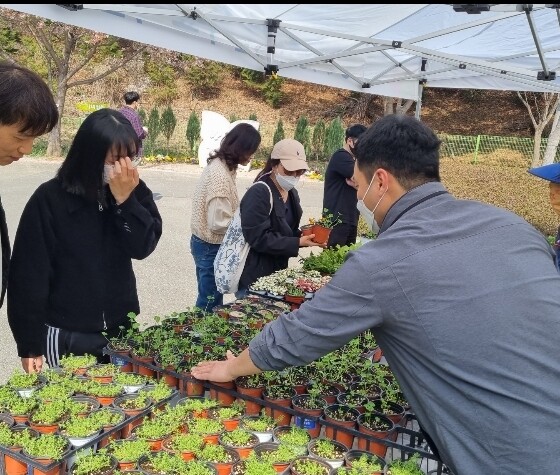 반려식물 나눔행사 모습. 사진=울산시설공단 제공