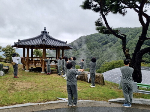 숲체험 장면.  사진=국민건강보험공단 부울경본부 제공