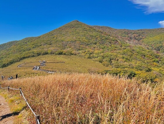 인제 곰배령. 사진=북부지방산림청