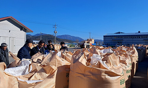 구미시가 13일부터 선산읍 죽장창고, 고아읍 고아농협 건조장을 시작으로 다음달 31일까지 22곳에서 2023년산 공공비축미곡 건조 벼를 매입한다. 사진=구미시 제공