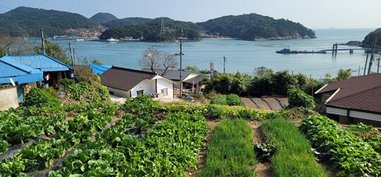 산책 삼아 하는 마을투어도 패키지에 포함되어 있다. 사진=이송이 기자