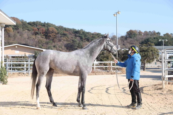 석세스타임. 사진=한국마사회 부산경남본부 제공