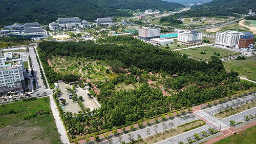 경북도청신도시 천년숲 전경. 사진=경북도 제공