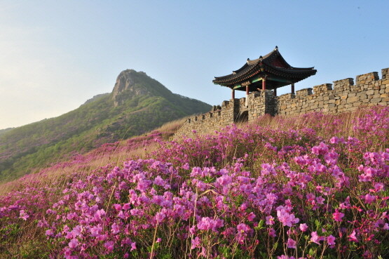 황매산 철쭉. 사진=경남도 제공