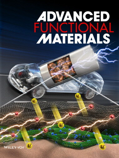 KERI 한중탁 박사팀의 ‘실리콘-질소도핑 카본 복합음극재’ 제조 기술 연구결과가 재료공학 분야 국제 저명 학술지인 ‘Advanced Functional Materials’에 게재된 모습. 사진=한국전기연구원 제공