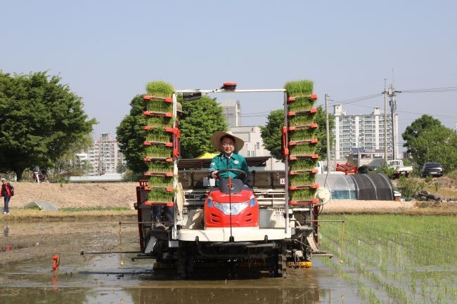 사진=춘천시 제공