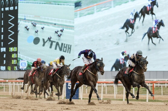 글로벌히트 24년 YTN배 우승 장면. 사진=렛츠런파크 부산경남 제공