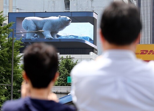 2022년 서울 중구 시청역 인근 전광판에 3차원(3D) 북극곰 미디어아트가 송출되고 있다. 이 영상은 기후위기의 심각성을 알리기 위해 HS애드와 국제 비영리 자연보전기관인 세계자연기금(WWF)이 함께 제작했다. 사진=박정훈 기자