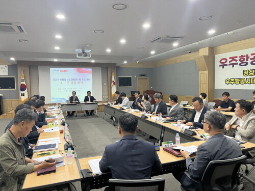 회의 장면. 사진=경남도 제공