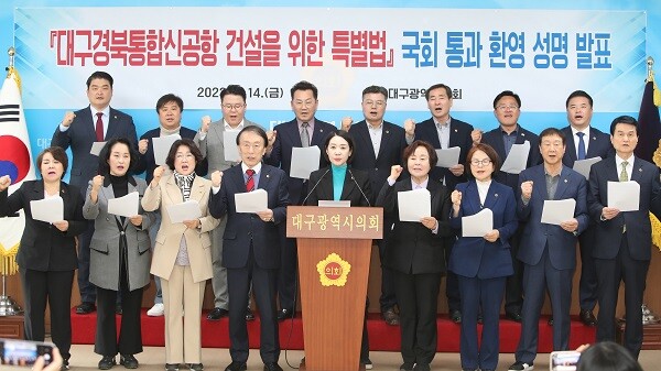 지난 2023년 4월 대구경북통합신공항 특별법 국회통과 환영 성명서 발표. 사진=대구시의회 제공